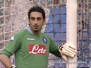 Iezzo desktop.jpg