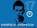 Hamsik desktop